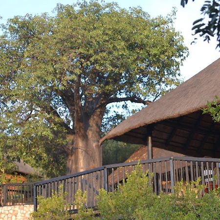 Adansonia Eco Lodge موسينا المظهر الخارجي الصورة