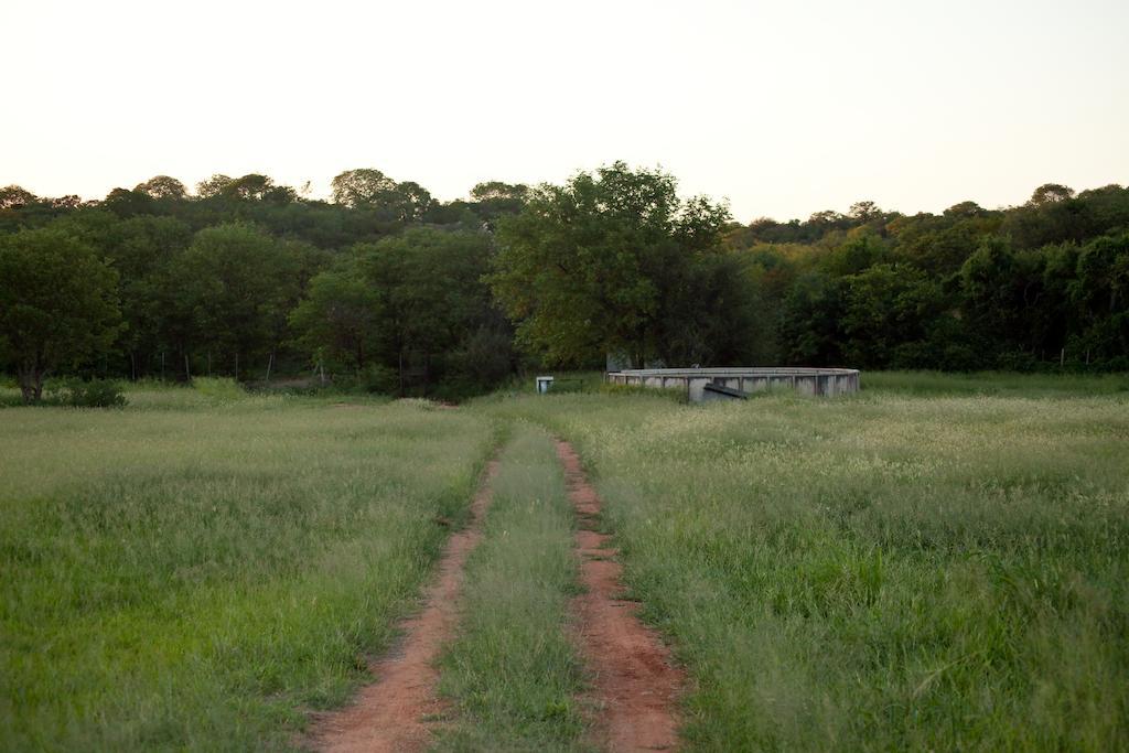 Adansonia Eco Lodge موسينا المظهر الخارجي الصورة