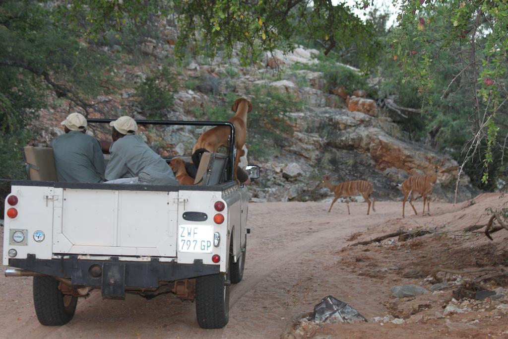 Adansonia Eco Lodge موسينا المظهر الخارجي الصورة