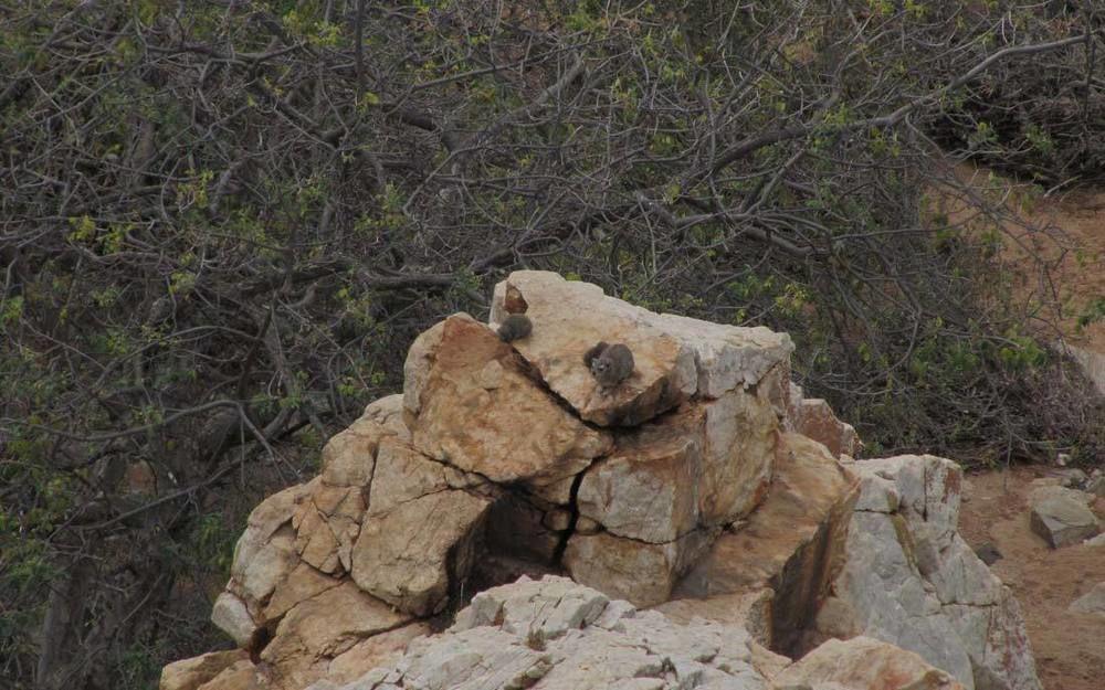 Adansonia Eco Lodge موسينا المظهر الخارجي الصورة