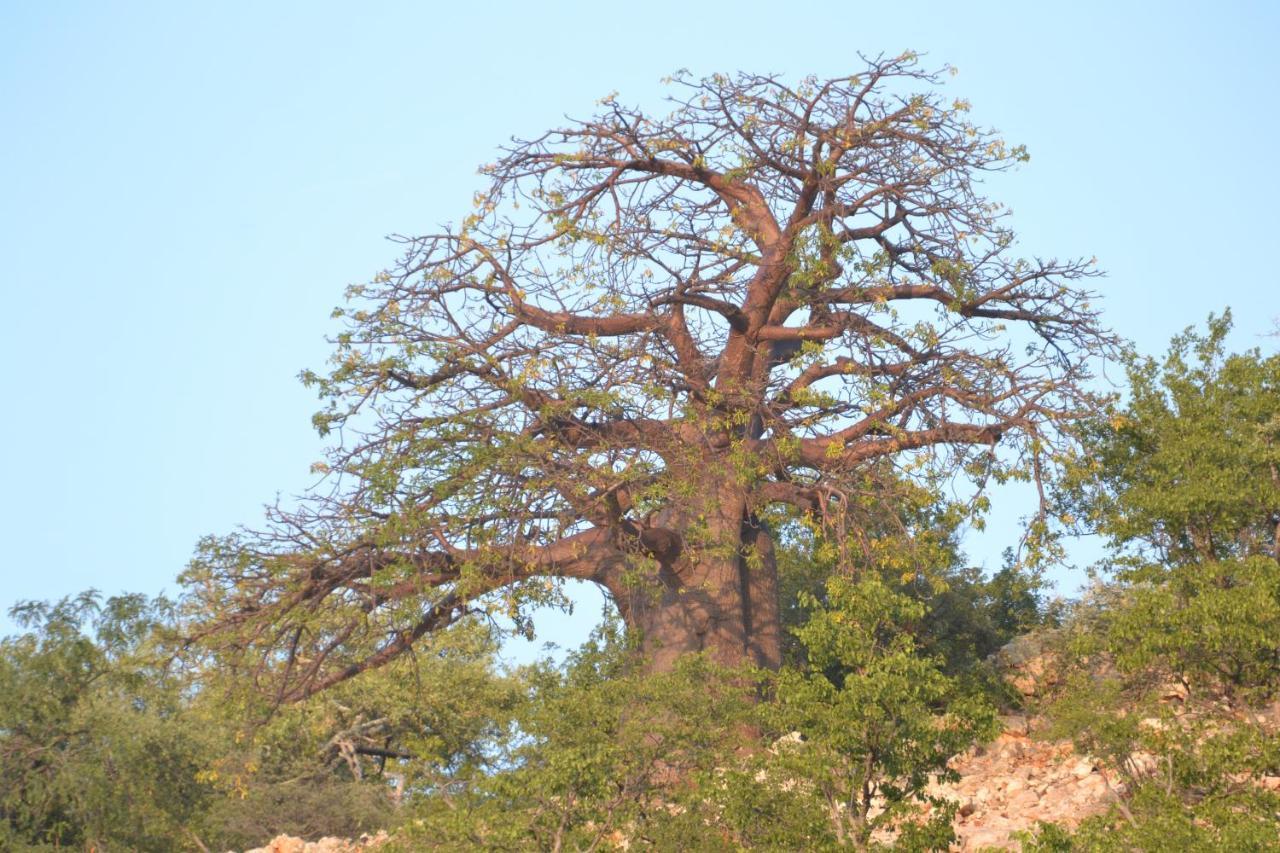 Adansonia Eco Lodge موسينا المظهر الخارجي الصورة