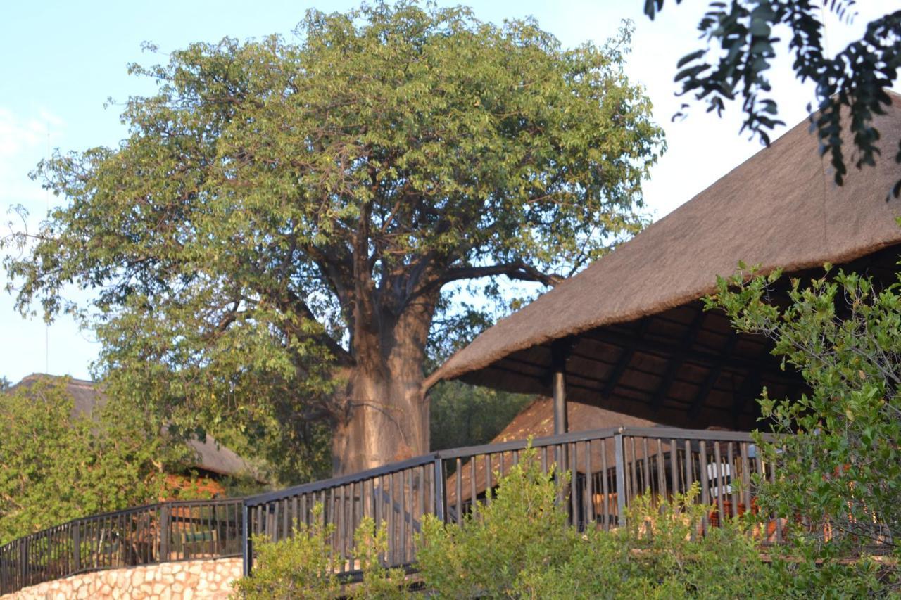 Adansonia Eco Lodge موسينا المظهر الخارجي الصورة