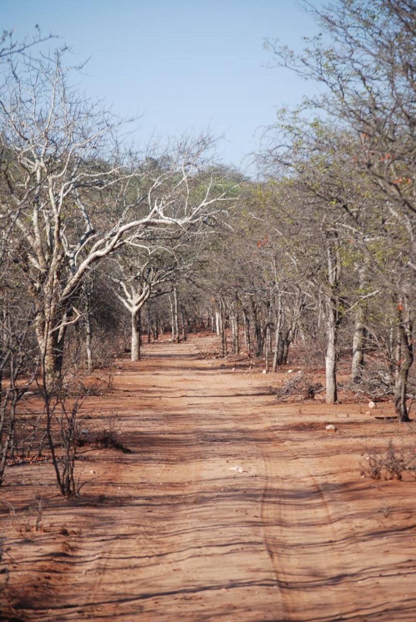 Adansonia Eco Lodge موسينا المظهر الخارجي الصورة